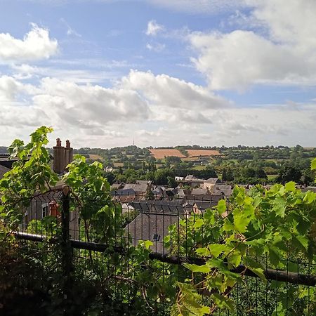 Charming Detached 2 Bedroom Ancient House In Medieval Quarter Of A Small Town In The Pays De La Loire, France Sillé-le-Guillaume エクステリア 写真